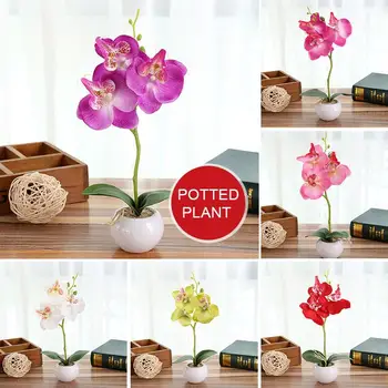 Vešča Orhideja Lep Modni Ponaredek Rastlin Simulacije Cvet Umetne Rože Darilo Dekoracijo Vrta Ornament Gospodinjstvo