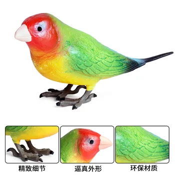 Simulacija Papiga Zbirateljske Plastične Živali Doma Dekor Dodatki Obrti Kip - 