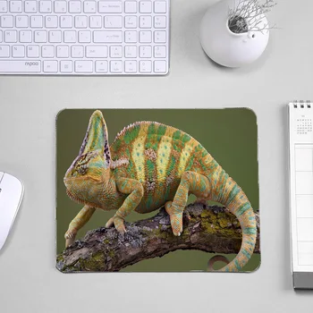 Tako Lep Živali, Hišne Kameleon Vzorec Mousepads Za Okrasite Namizje 220x180x2MM majhnosti Pad Gaming Miška - 